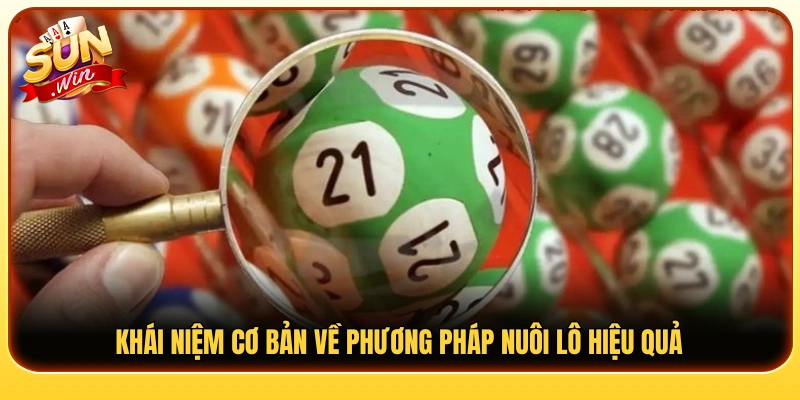 Giải thích cơ bản về hình thức nuôi lô 