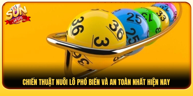 Các cách nuôi lô được nhiều người chơi quan tâm 