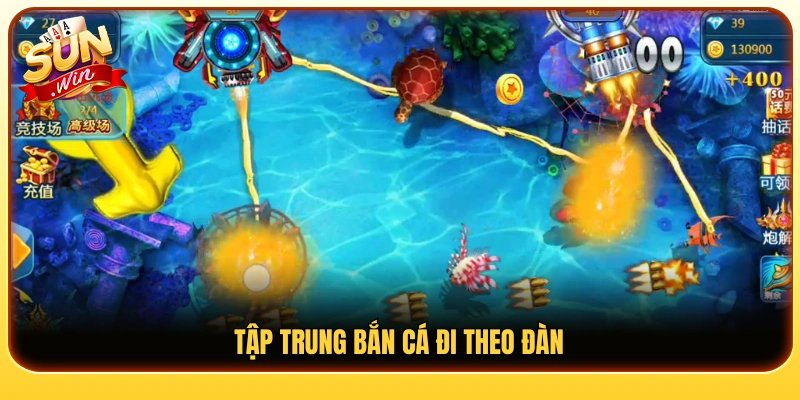 Ưu tiên nhắm vào những đàn cá xuất hiện cùng lúc