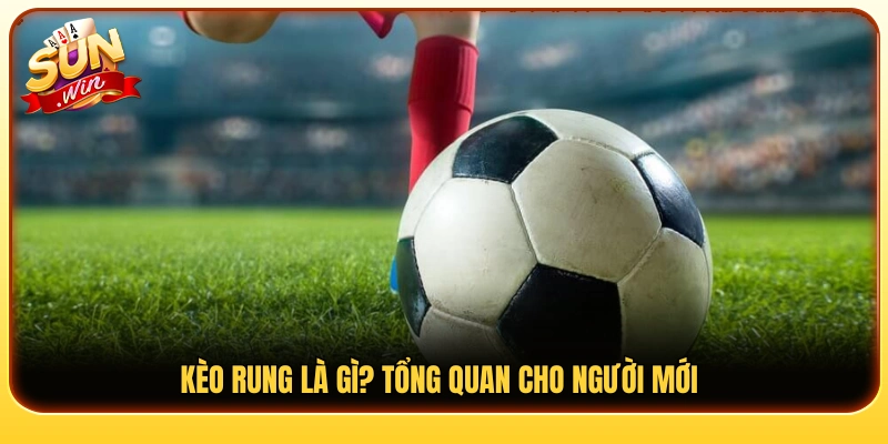 Kèo rung là gì? Những điều cơ bản cần biết