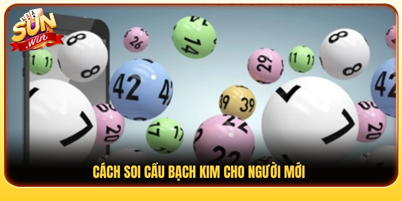 Hướng dẫn các bước soi cầu Bạch Kim cơ bản